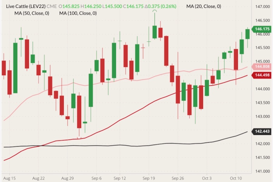 CME October 2022 live cattle (candlesticks) with 20-, 50- and 100-day moving averages (pink, red and black lines). (Barchart)
