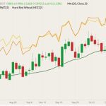 CBOT December 2022 soft red winter wheat (candlesticks) with 20-day moving average (dark green line), MGEX December 2022 hard red spring wheat (yellow line) and K.C. December 2022 hard red winter wheat (orange line). (Barchart)