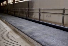 The Aquastar mattress has a 1.5-inch latex memory foam layer at its base, with a single chamber that ensures none of the cow’s body is in contact with a hard surface. The kneeboard, called the Aquaboard, is also water-filled.