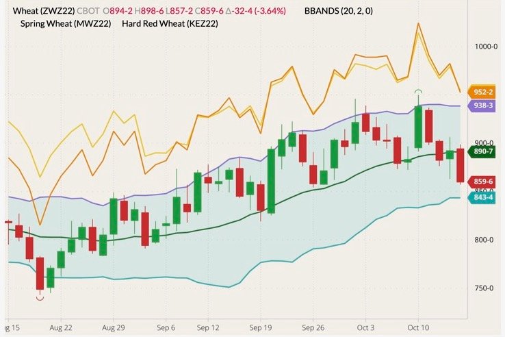 CBOT December 2022 soft red winter wheat (candlesticks) with Bollinger bands (20,2), MGEX December 2022 hard red spring wheat (yellow line) and K.C. December 2022 hard red winter wheat (orange line). (Barchart)
