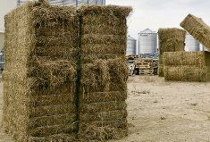 East Coast farmers are hoping things have improved enough on the Prairies this year to help them settle some of the accounts from the Hay West initiative.