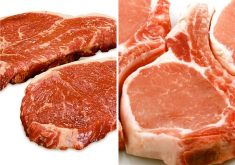 Total red meat exports in 2022 for the United States are forecast at $20 billion.