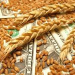 Photo: Thinkstock