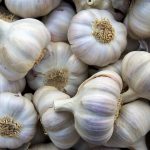 Garlic bulbs