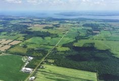 ‘Foodbelt’ legislation to be tabled by Ontario Greens and Haldimand-Norfolk MPP