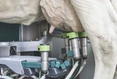 According to the study, adoption of new technologies could lead to a three per cent increase in milk yields, reduce GHG emissions by eight per cent and reduce feed, land and water use by six, four and three per cent, respectively, by 2030.