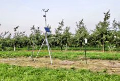 One of the weather stations from Maesos Technologies at Schuyler Farms in Norfolk County. Farm manager Dave Petheram uses the climate data it collects to manage frost risk, and also uses the temperature, rainfall and leaf wetness data it provides to make decisions on when to spray fungicides.