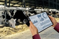 Panelists at the recent World Dairy Expo Tech Spotlight said the most successful technologies understand producer needs and convert data into manageable and useful information.