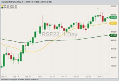 ICE January 2023 canola (candlesticks) with 20- and 50-day moving averages. (Barchart)
