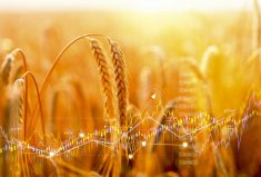 A common phrase for tech leaders and companies is “data-driven agriculture.” But which interests does farm data serve?