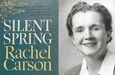 The author looks at what we’ve learned about pesticides and the environment in the six decades since publication of the book that changed how the world sees nature.