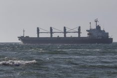 A Panama-flagged bulk carrier, Ikaria Angel, leaves Ukraine’s port of Chornomorsk with wheat for Ethiopia on Sept. 17, 2022. (File photo: Reuters/Serhii Smolientsev)