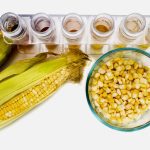 The Enogen corn hybrid line was originally developed for the U.S. ethanol industry.