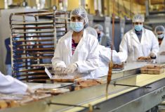 Cookie line workers box finger-style biscuits at Vidhya Food Inc.'s manufacturing facility in Mississauga on Oct. 21, 2021.