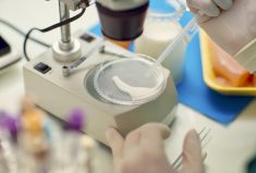 Dr. David Kelton said the first-sample results from the bulk tank analysis support calls for an ongoing disease strategy. 