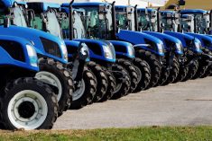 (Luca Piccini Basile/iStock/Getty Images)
