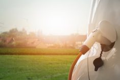 (Scharfsinn86/iStock/Getty Images)