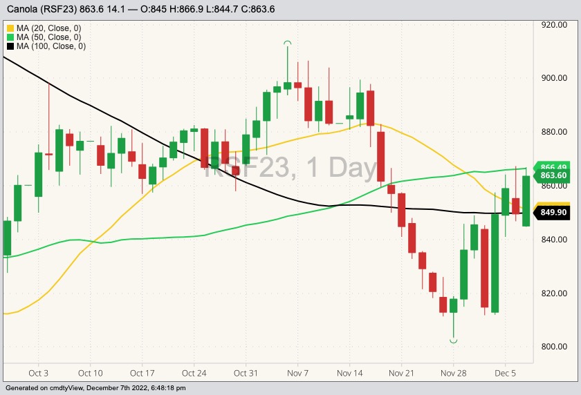 ICE January 2023 canola with 20-, 50- and 100-day moving averages. (Barchart)
