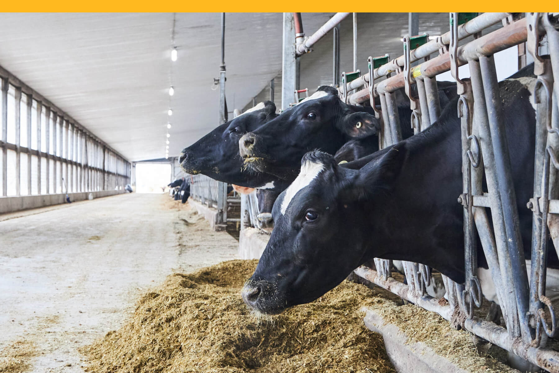 Stanton Farms creates renewable energy from organic waste