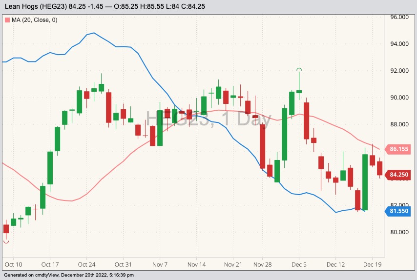 CME February 2023 lean hogs with 20-day moving average (pink line) and CME cash lean hog index (blue line). (Barchart)
