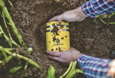 The Soiltech Wireless sensor can be placed on the ground to act as a localized weather station by measuring temperature and humidity. It can also be buried to monitor moisture and temperature.