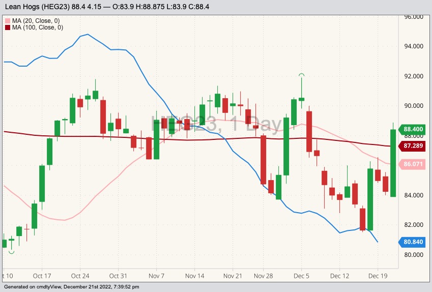 CME February 2023 lean hogs with 20- and 100-day moving averages and CME cash lean hog index (blue line). (Barchart)
