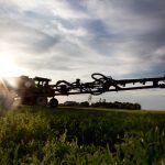The solution to the thorny problem of herbicide-resistant weeds is likely to be complex.