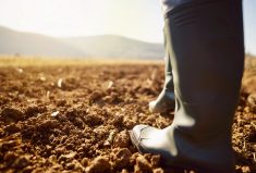 The Guelph Organic Conference returns later this month and offers both in-person and virtual content.