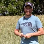 Organic grazing and soil health