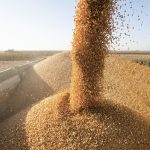 Grain trading and feed commodities are only one component of Hensall’s business model. Having multiple business divisions has helped the co-op weather economic uncertainty.