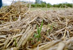 The Sustainable Agriculture Strategy will look at soil health as well as climate adaptation and resilience, water, climate change mitigation, and biodiversity.