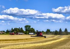 Combines, large tractors and implements are expected to see sales growth.