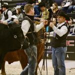There were fist bumps between the reserve, left, and grand champion bull winners during the national Gelbvieh show at Canadian Western Agribition. Royal Western Gelbvieh from Red Deer County, Alta., showed the reserve, and Fladeland Livestock from Gladmar, Sask., showed the winner.