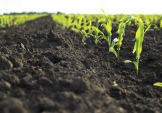 Farment BioSolutions uses a combination of naturally occurring bacteria with nitrogen-fixing capabilities and fermentation to make farm-based nutrients, like manure, more efficient.