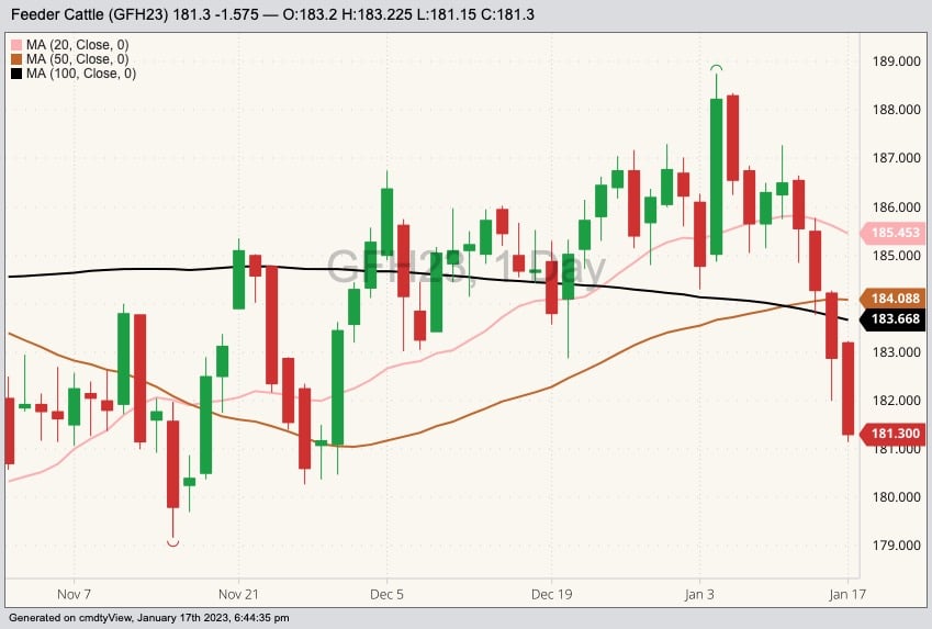 CME March 2023 feeder cattle with 20-, 50- and 100-day moving averages. (Barchart)

