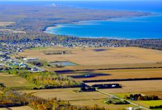 Growth in Southwestern Ontario farmland values slowed in 2023