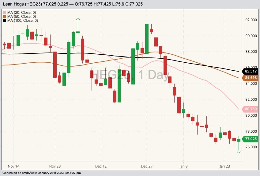CME February 2023 lean hogs with 20-, 50- and 100-day moving averages. (Barchart)
