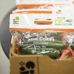 Lakeside Produce Inc. owes $188 million to creditors