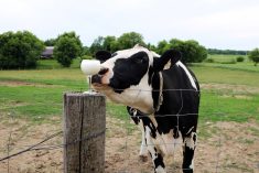 Ontario distillery harnesses sustainability across business