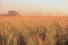 There is an ever-growing demand for more food production, but many of the methods and tools needed to meet this demand can have negative consequences for the climate.