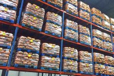 File photo of 10-pound sacks of potatoes loaded on pallets at a Canadian distribution centre. (PierreDesrosiers/iStock/Getty Images)