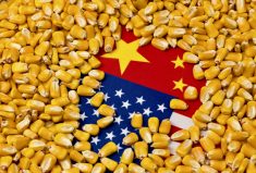 Political tensions have contributed to the lack of Chinese demand for U.S. corn. China has also began accepting Brazilian corn now that phytosanitary concerns have been rectified.