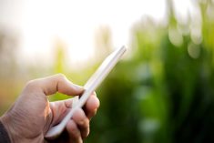 BAMWX provides 36-hour and 10-day weather forecasts factoring in more than 65 weather models. The weather service includes spray forecasts and live radar.