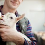 Ruminant newborns lack protective antibodies at birth, so ensuring they get enough colostrum is vital. Colostrum quality depends on dam nutrition.