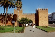 A wall in the medina (ancient city quarter) of Rabat, Morocco’s capital. (Cia.gov)