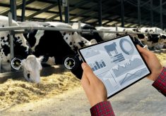 Opinion: Disrupting the livestock sector