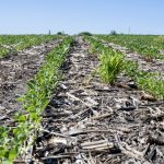 Agriculture and Agri-food Canada officials who were asked at a recent Senate hearing why early adopters of no-till agriculture don’t benefit from recent government incentive programs told senators that these early adopters have already benefited through increased production.