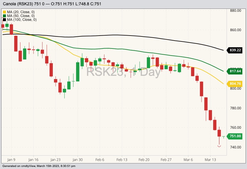 ICE May 2023 canola with 20-, 50- and 100-day moving averages. (Barchart)

