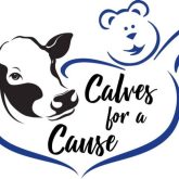 Calves for a Cause to host first in-person fundraiser