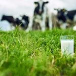 Using all the available milk ingredients in an efficient and timely manner is the best way to ease the squeeze on profit margins in the dairy processing sector.